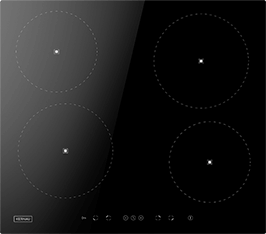 Induktionsfeld Reparatur Lahr